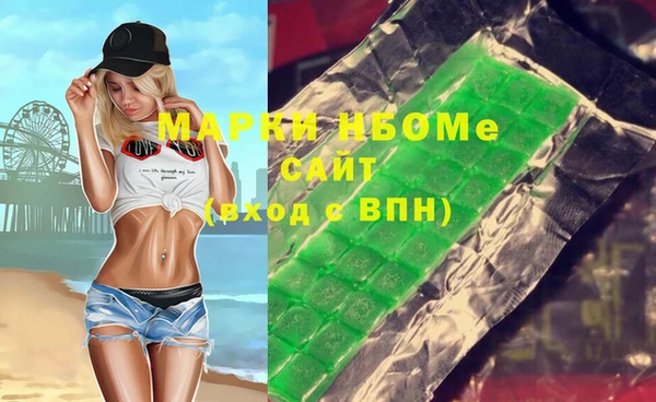 дживик Бородино