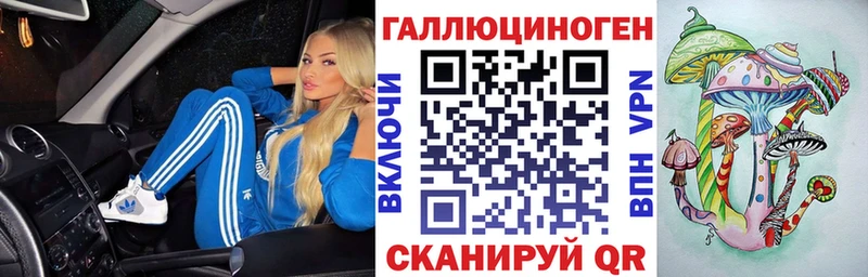 закладка  Искитим  Псилоцибиновые грибы Psilocybine cubensis 