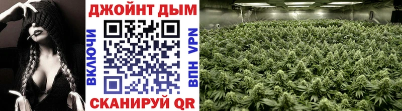 Бошки Шишки тримм  Искитим 